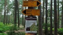 Toulovcovy maštale Více info