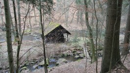 Přírodní reservace Krkanka (3 km, 45 min) Více info